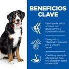 Hill's Science Plan Adult Large Cordero pienso para perros, , large image number null